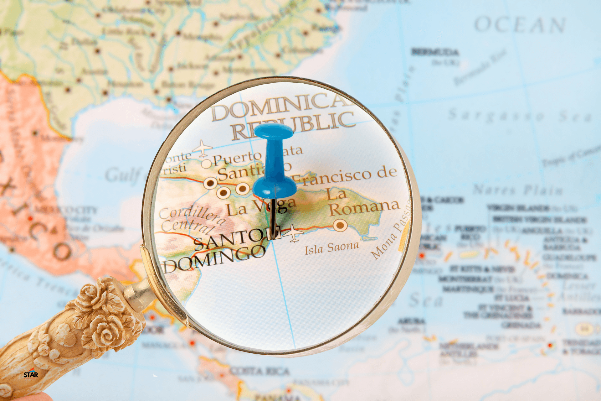 Global Shipping Network